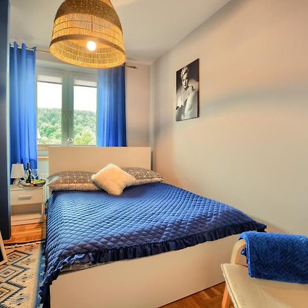 Apartamenty Bieszczadzki Aniol Ustrzyki Dolne Εξωτερικό φωτογραφία