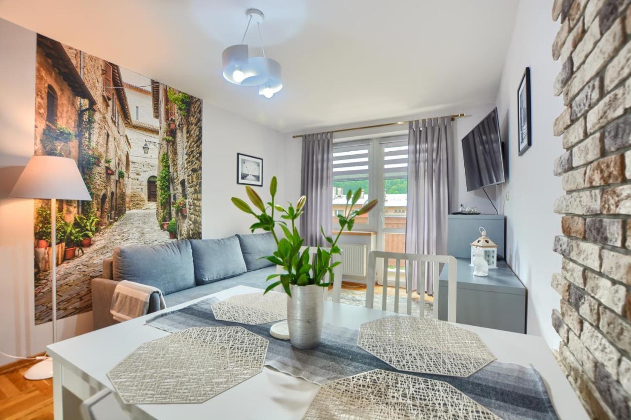 Apartamenty Bieszczadzki Aniol Ustrzyki Dolne Εξωτερικό φωτογραφία