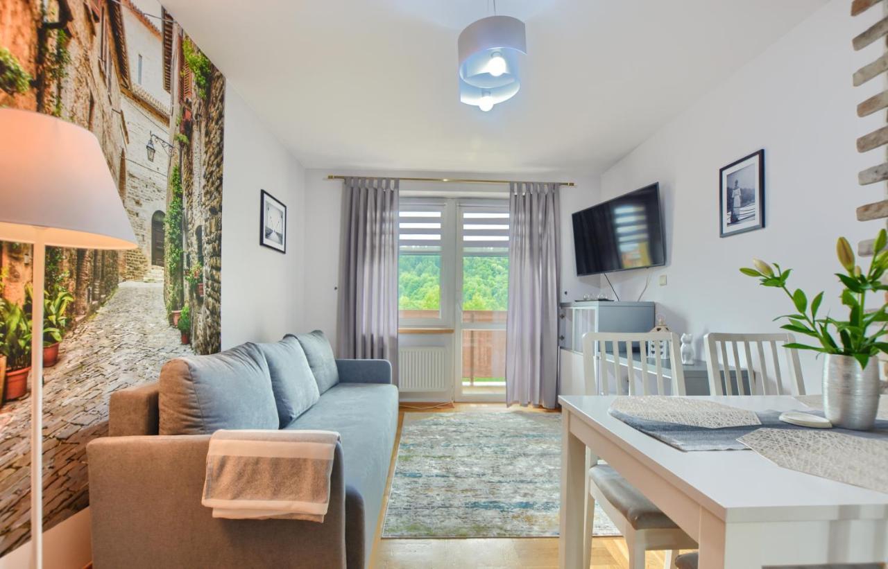 Apartamenty Bieszczadzki Aniol Ustrzyki Dolne Εξωτερικό φωτογραφία