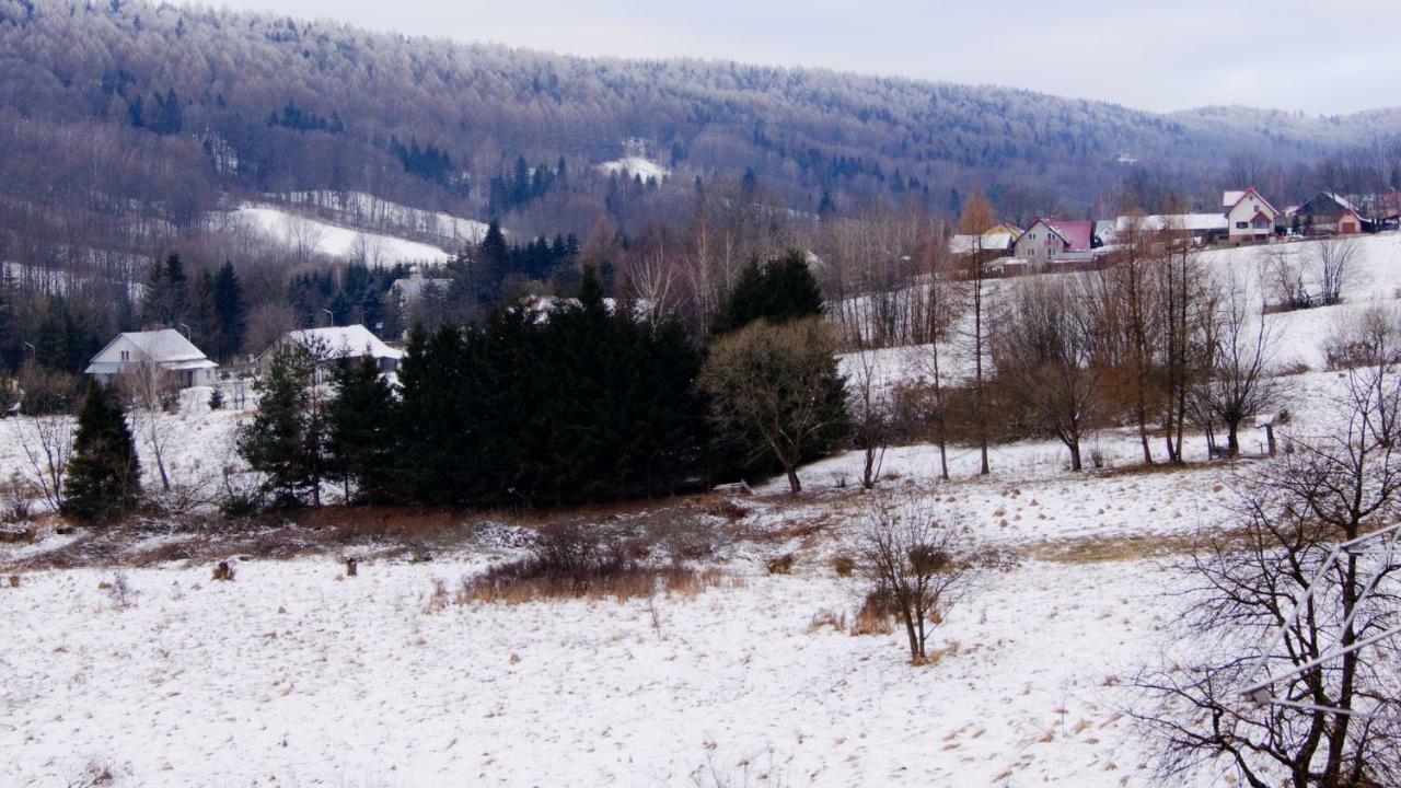 Apartamenty Bieszczadzki Aniol Ustrzyki Dolne Εξωτερικό φωτογραφία